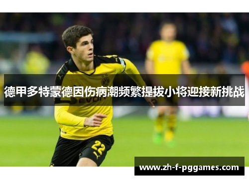 德甲多特蒙德因伤病潮频繁提拔小将迎接新挑战